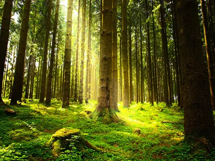 Soothing Mindfulness Of Breathing Meditation