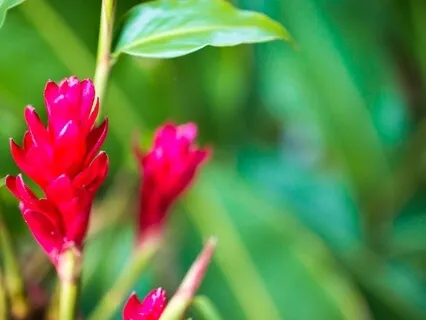 Soothing Music For Your Soul