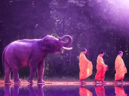 Soothing Music To Remove Negativity | 528Hz Music For Meditation | Miracle Healing Frequency