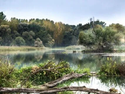 Soothing Nature Sounds For Deep Sleep