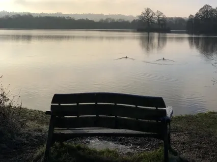 Soothing Overwhelm In Uncertain Times