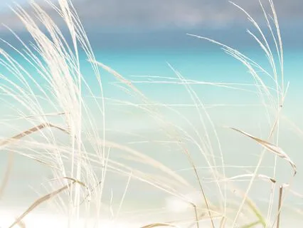 Soothing Piano & Acoustic Guitar For Inner Peace