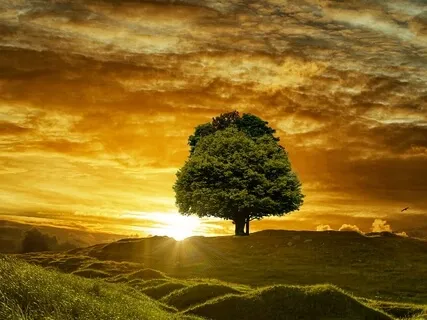 Soothing Piano Improvisation - Healing Music 