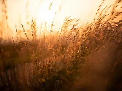 Soothing Piano To Calm The Nerves