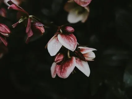 Soothing Practice For Chronic Pain