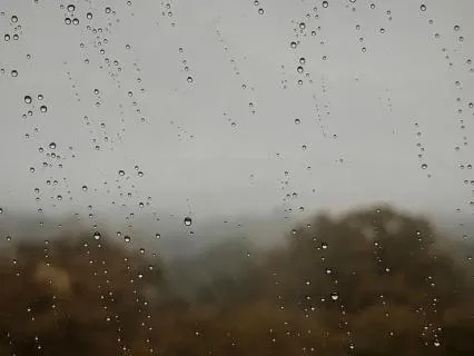 Soothing Rain and Music for Insomnia Relief and Deep Sleep