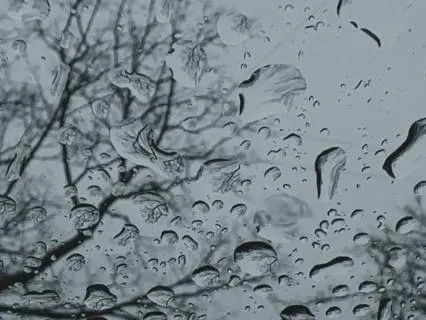 Soothing Rain and Sleep Music