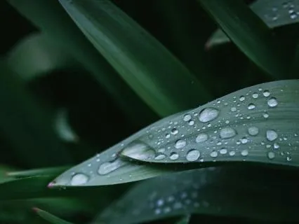 Soothing Rain For Deep Sleep