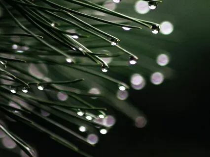 Soothing Rain For Sleep Or Study