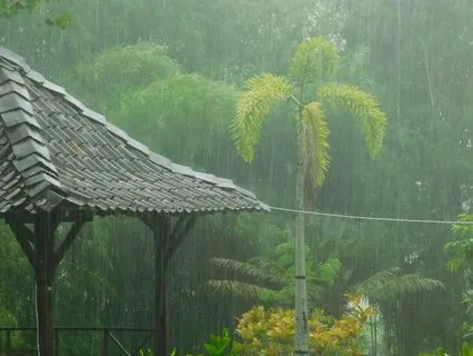 Soothing Rain With Delta Waves