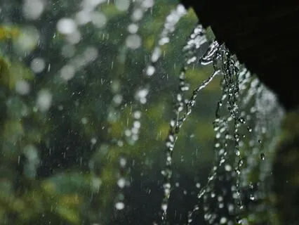 Soothing Rainfall Immersion