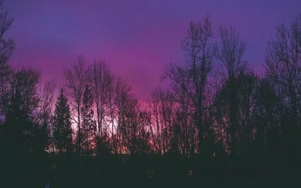 Soothing Relaxation Music