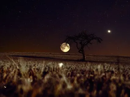 Soothing Relaxation Music For Anxiety Relief