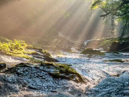 Soothing Relaxed State