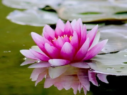 Soothing Relief: Gentle Meditation For Joint Healing