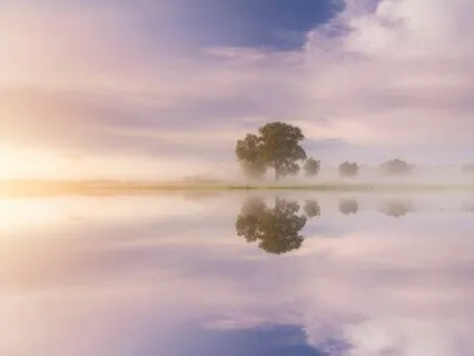 Soothing Sanctuary: Stress Relief Symphony