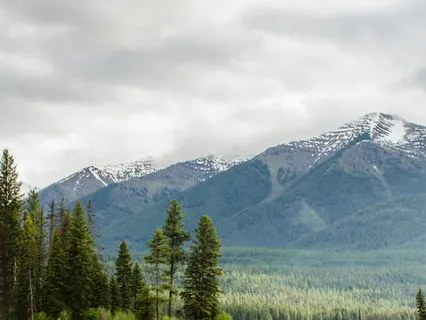 Soothing Serenity: Soft Ambient Music For Emotional Balance