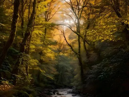 Increased Positive Thoughts and Feelings - 528Hz