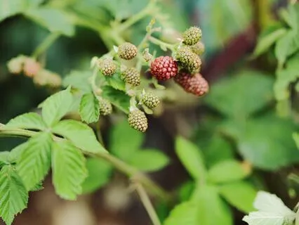 Soothing Sleep For Anxiety Relief
