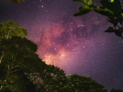 Soothing Sleep: Music To Relax Completely