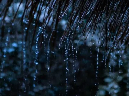Soothing Sleep Sessions — Gentle Rain