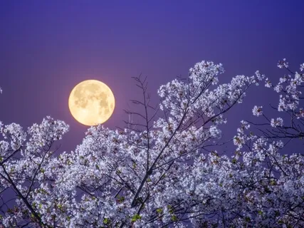 Day 9: Soothing Sleep Talk Down