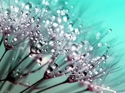 Soothing Sound Bath: Release Stress Through Sound & Frequency