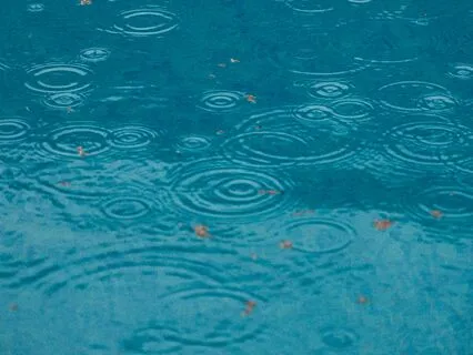 Soothing Sound Of Rain