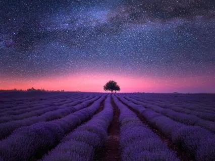 Soothing Sounds For Deep Sleep | Nervous System Reset | 2Hr