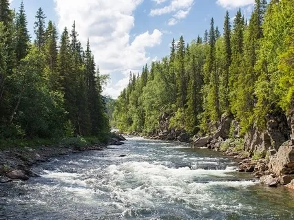 Soothing Sounds Of The River 4