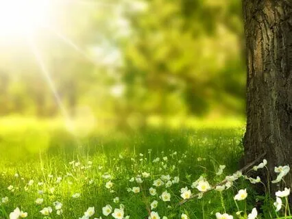 Soothing Study Sounds: Ambient Focus Tracks