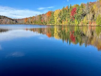 Soothing The Inner Storm: A Meditation To Regain Calm