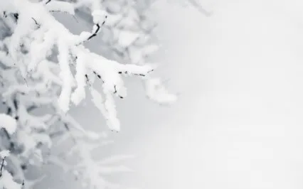 Soothing The Vagal Nerve