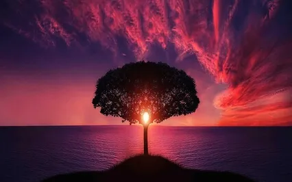 Soothing Tones - Tranquil Music