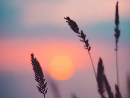 Soothing Visualisation For Sleep