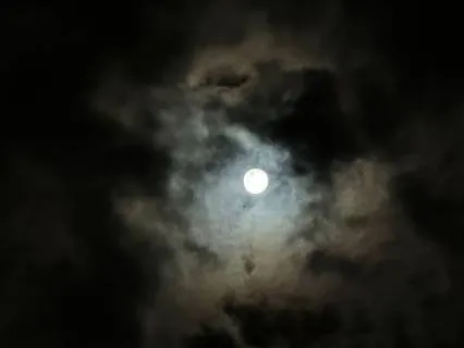 Soothing Vocals into Blissful Transition