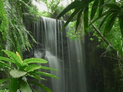 Soothing Waterfall In The Jungle – Natural Sounds For Sleep