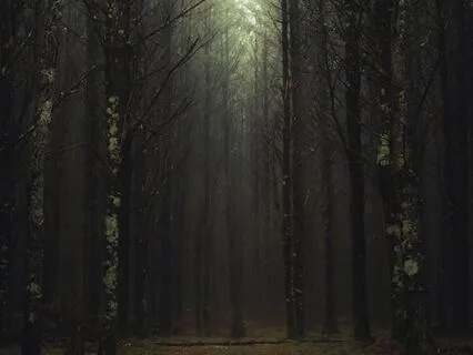 Soothing White Noise & Foggy Ambience For Deep Calm