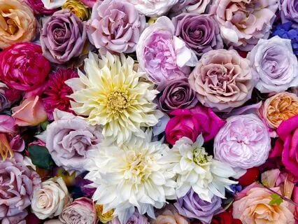 Sorrow - Happiness Enters Due To Ignorance