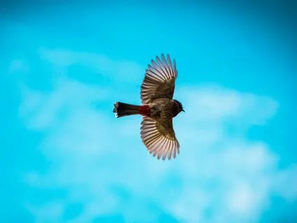 Sorrow & Longing Part 6: Holding Sorrow & Gratitude