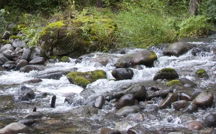 SOS 2-Minute Anxiety Relief