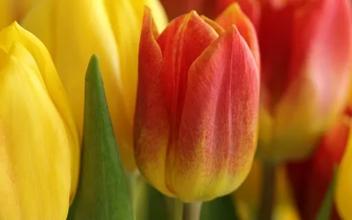 SOS Clear Negative Thoughts