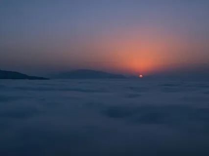 SOS For Sleepless Nights