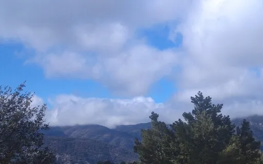 SOS - Healing From Slurs & Bigotry