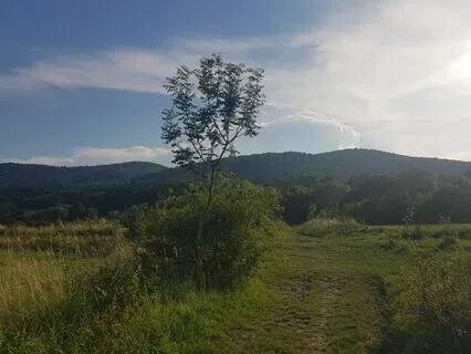 SOS I'm Having A Panic Attack