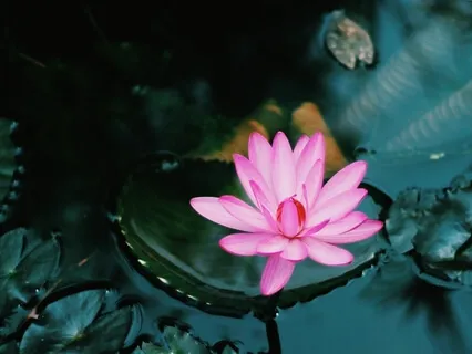 SOS Meditation For Quick Relaxation