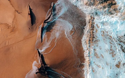 SOS Panic Attack Relief (5 Minutes)