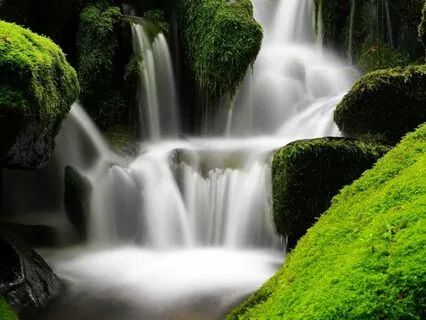 SOS Somatic Meditation For Stress Release And Anxiety Relief