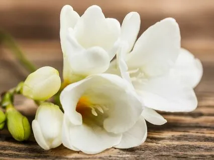 Soucha: Cleansing, Clarity, And Purity Of Being You