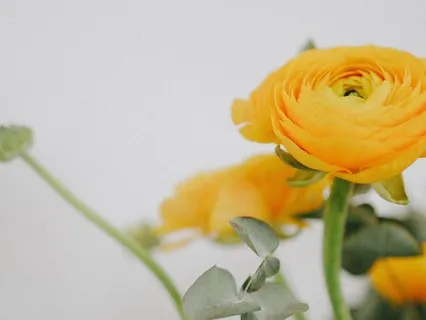 Soul Affirmations: I Am Enough. I Have Always Been Enough.